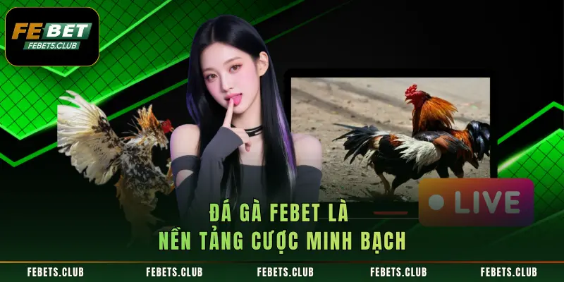 Đá Gà FEBET là nền tảng cược minh bạch