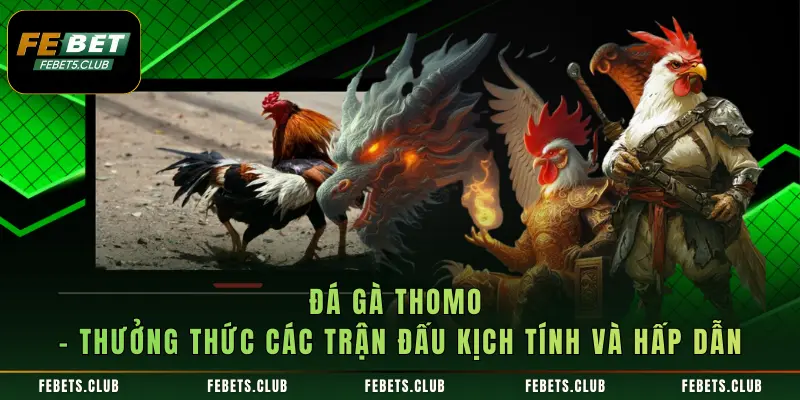 Đá Gà Thomo - Thưởng Thức Các Trận Đấu Kịch Tính Và Hấp Dẫn