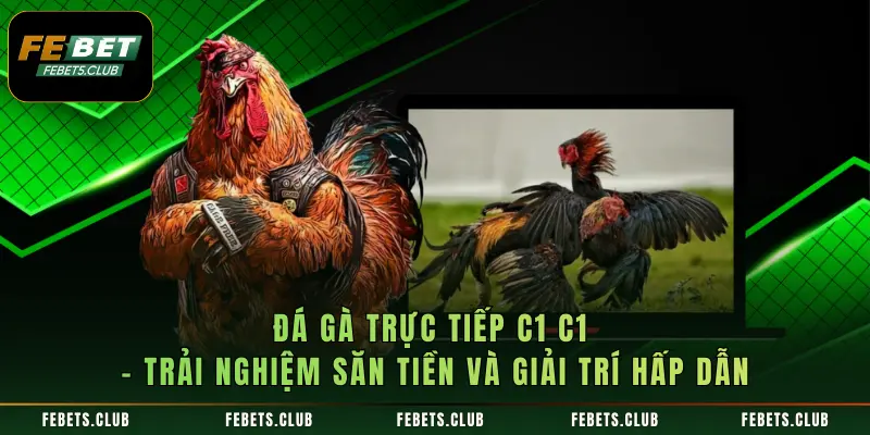 Đá gà trực tiếp C1 – Trải Nghiệm Săn Tiền Và Giải Trí Hấp Dẫn