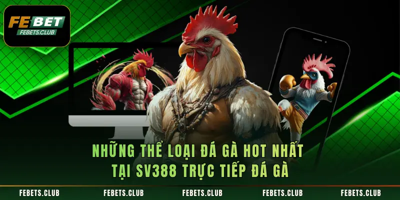 Những thể loại đá gà hot nhất tại SV388 trực tiếp đá gà