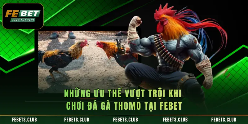 Những ưu thế vượt trội khi chơi đá gà Thomo tại FEBET