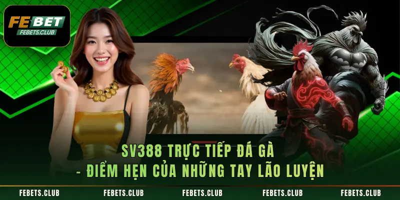 SV388 Trực Tiếp Đá Gà – Điểm Hẹn Của Những Tay Lão Luyện